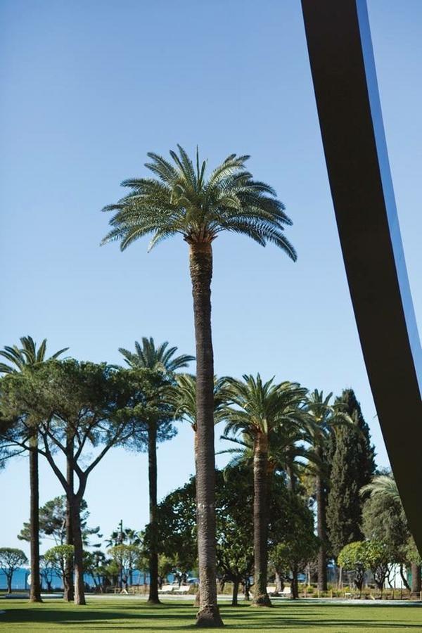 Ross 5- F2, Lumineux, Balcon, Loft, Clim, Vieux-Nizza Exterior foto